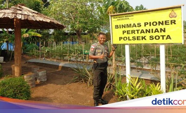 Kisah AKP Makruf Suroto Pejuang Perbatasan RI-Papua Nugini