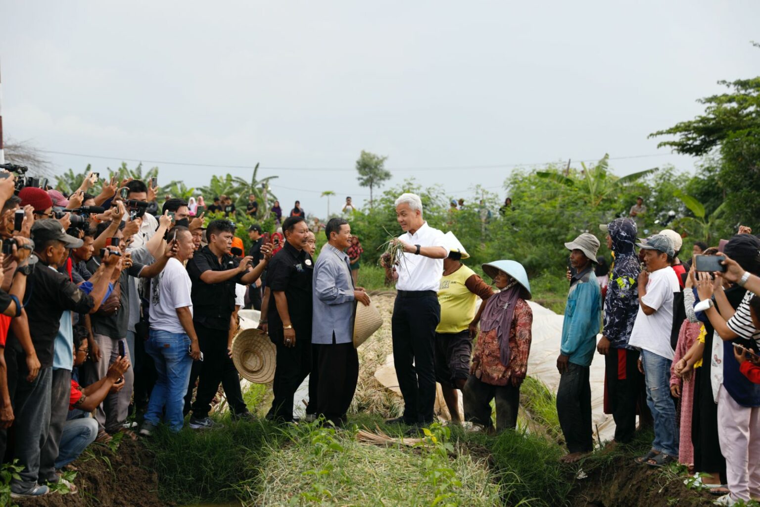 Panen Bareng Petani Bawang Merah, Ganjar Siap Penuhi Kebutuhan Produksi dan Jual
