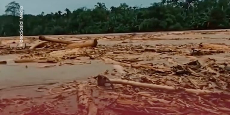 Pemerintah Wajib Benahi Tata Kelola Hutan Pasca Banjir Bandang