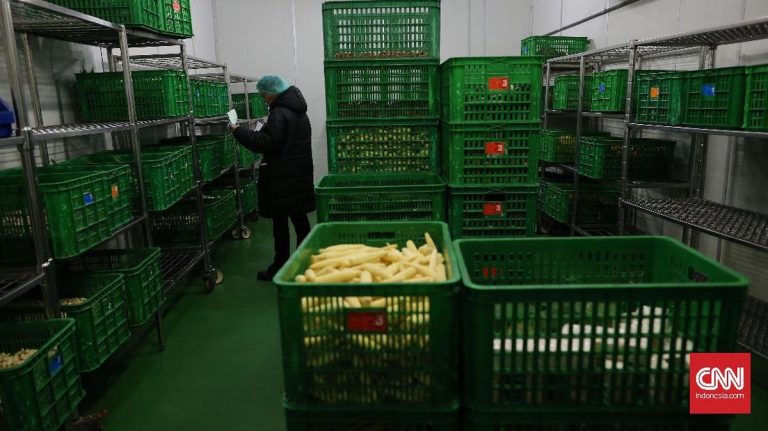 BGN Tegaskan Dapur SPPG Wajib Serap Bahan Pangan Lokal di Manokwari