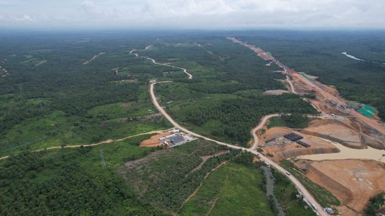 Negara Pemilik Gambut Diminta Percepat Restorasi, Indonesia Punya 24 Juta Hektare : Okezone Economy