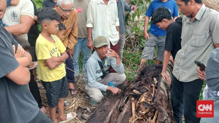Warga Sergai Hilang 2 Tahun Ditemukan Tinggal Kerangka di Pohon Aren