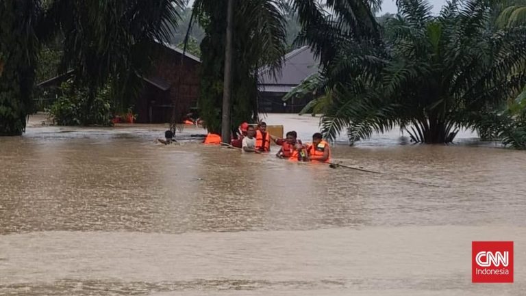Banjir di Langkat Capai 1,6 M, Tim SAR Evakuasi Warga yang Terjebak