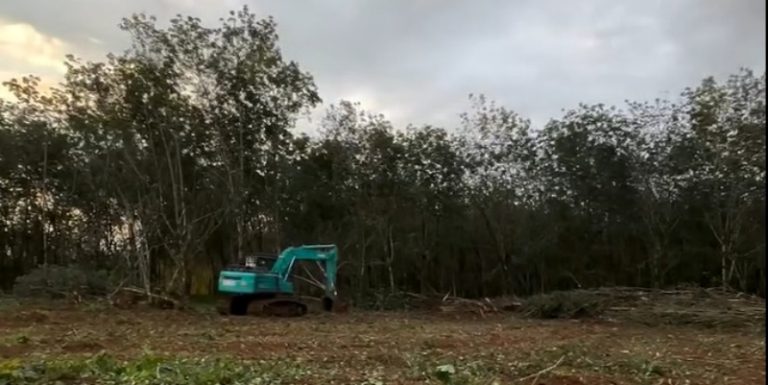 PTPN Siapkan Lahan Huntara di Sumut dan Aceh