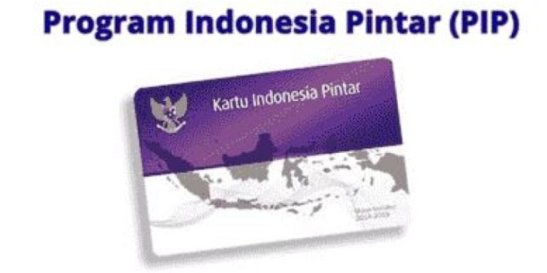 PIP Berubah Jadi Kartu Undangan Kampanye Anggota DPR