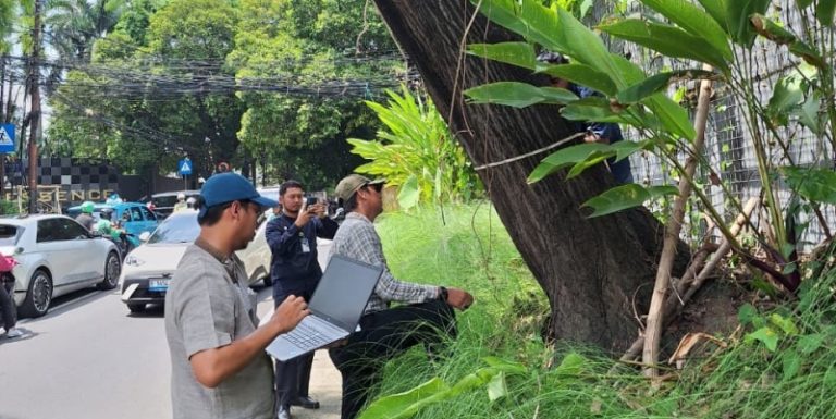 Periksa Pohon Rawan Tumbang