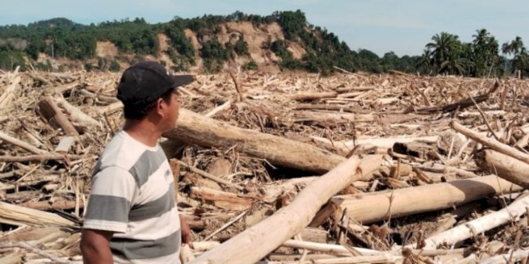 Permukiman di Aceh Tamiang Hilang Tertimbun Kayu Gelondongan