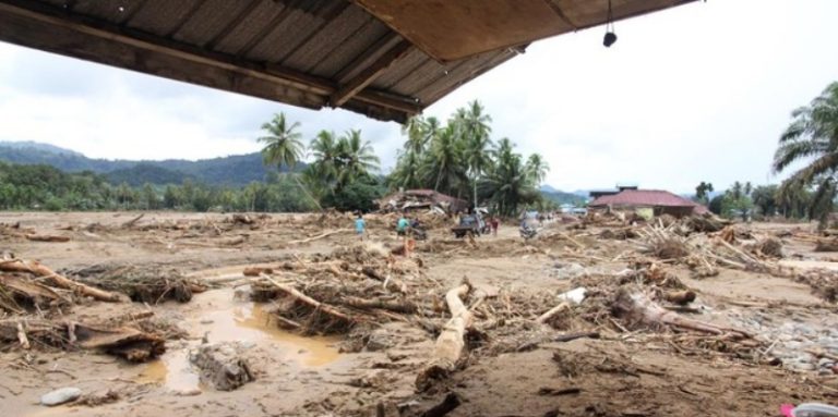 Akar Ekonomi di Balik Bencana Sumatera