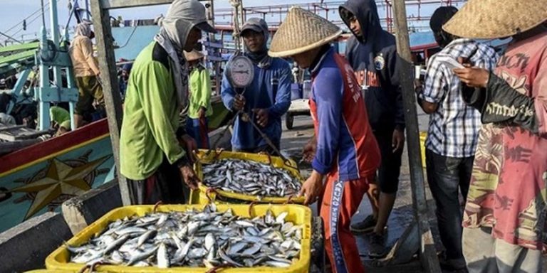 KKP Perlu Konsisten Lakukan Pengendalian Penangkapan Ikan