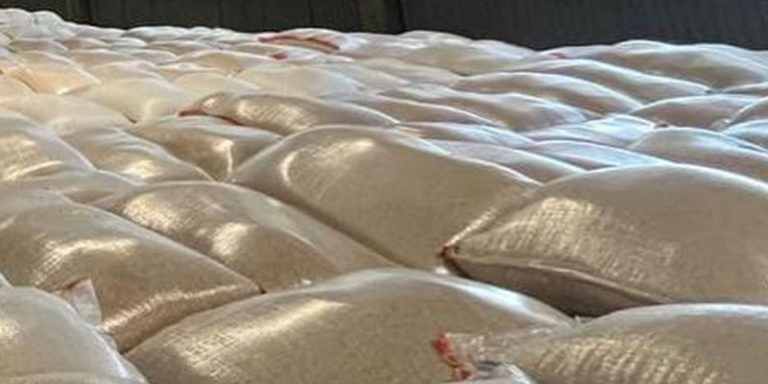 Kementan Kawal Ketat 10 Ribu Ton Beras Bantuan untuk Sumatera