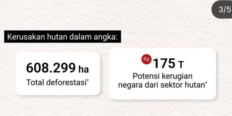 Potensi Kerugian Negara dari Kerusakan Hutan Capai Rp175 Triliun
