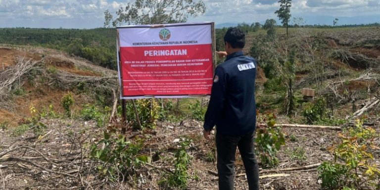 Gakkum Kemenhut Telusuri Kerusakan Hulu DAS Penyebab Banjir Tapanuli