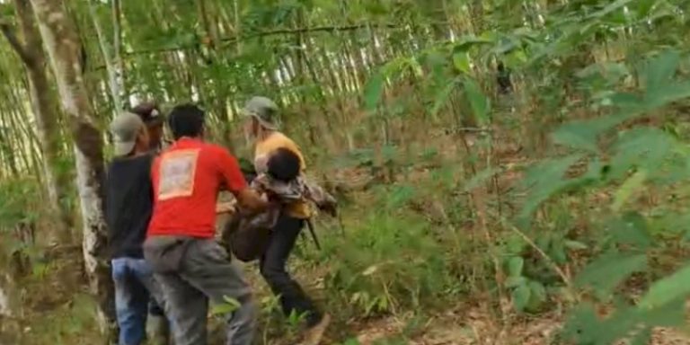 Nahas, Kades Braja Asri Tewas Diserang Gajah Hutan Way Kambas