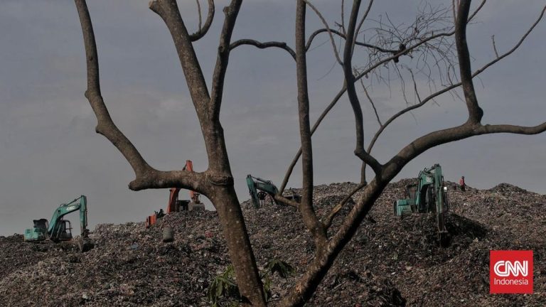 KLH Bantu Angkut 116 Ton Sampah Menumpuk di Tangsel