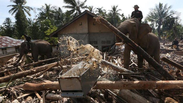 Rapat Bencana Aceh Bersama DPR Tanpa Sapaan ‘Yang Terhormat’
