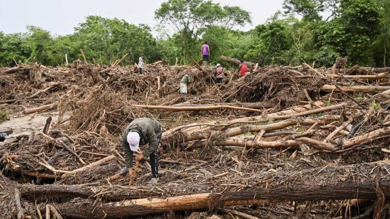 Kemenhut Percepat Pembersihan Kayu di Daerah Terdampak Banjir Sumatera