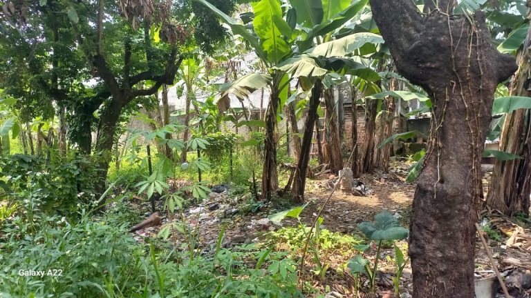 Kejagung Lelang 4 Lahan Pembobol Bank BUMD Andi Winarto, Laku Rp5,4 Miliar : Okezone News