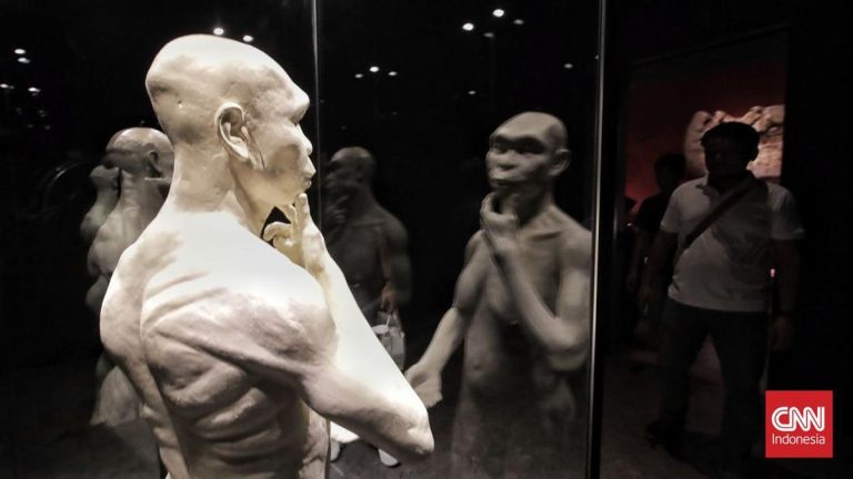 Kembalinya Fosil Java Man ke Nusantara