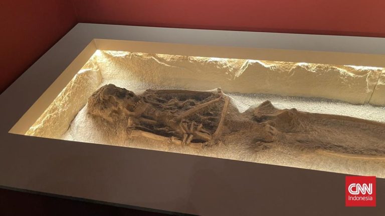 Daftar 28.131 Koleksi Dubois yang Dipulangkan: Tengkorak hingga Gigi