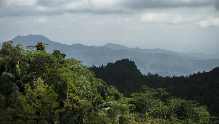 Libur Nataru, Waspadai Potensi Longsor di Menoreh Borobudur