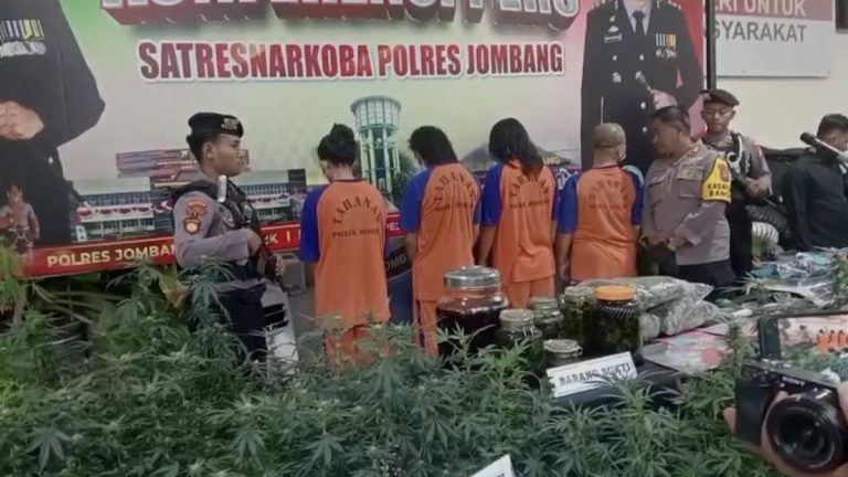 Pasutri Diduga Otak Rumah Greenhouse Ganja di Jombang Ditangkap