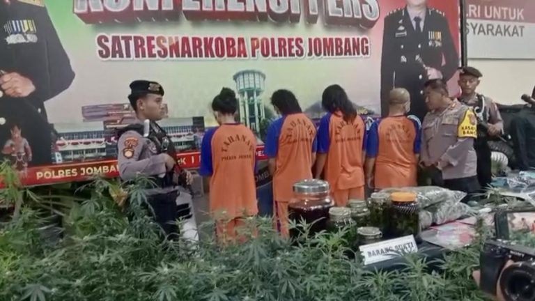 Pengakuan Otak Greenhouse Ganja di Jombang: Terinspirasi Naskah Kuno