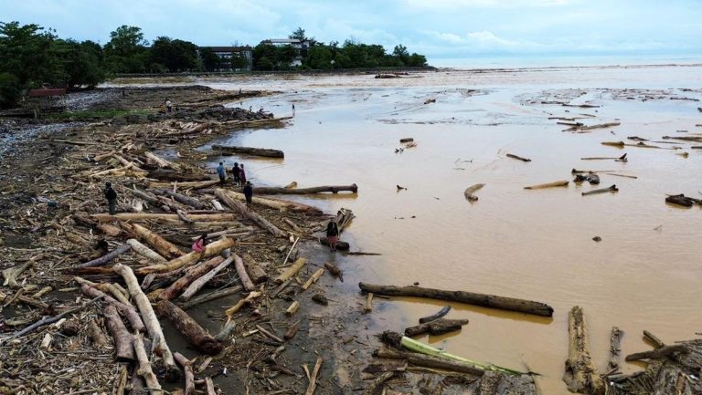 Bareskrim Mulai Terjun Selidiki Ribuan Gelondongan Kayu di Sumatra