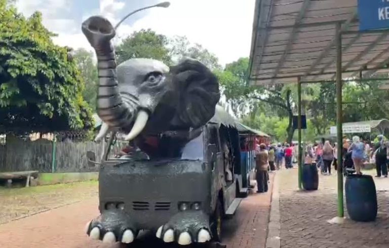 7.000 Wisatawan Padati Taman Margasatwa Ragunan Sejak Pagi : Okezone Women