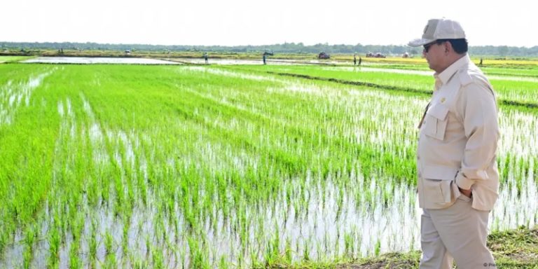 Swasembada Beras Tonggak Penting Sejarah Ketahanan Pangan