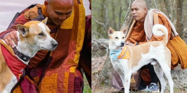 Aloka dan Kerukunan Umat Beragama