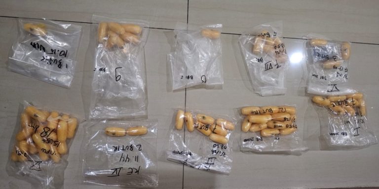 Bareskrim Tangkap Pasutri Asal Pakistan Selundupkan 162 Kapsul Sabu di Perut