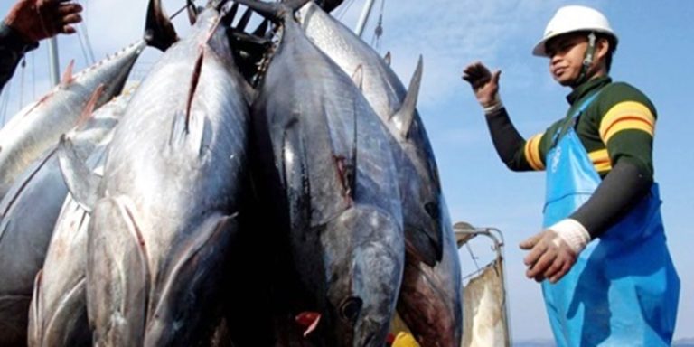 Hilirisasi Perikanan Belum Mampu jadi Penggerak Ekonomi Pesisir