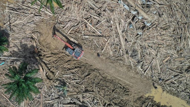 Satgas PKH Dalami Pidana 28 Perusahaan Perusak Lingkungan Sumatra