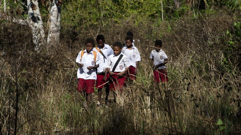 Gubernur Papua Selatan Usul UU Otonomi Khusus Direvisi