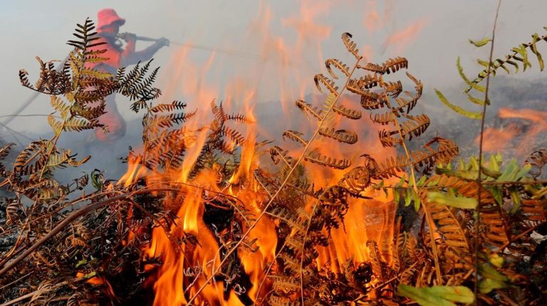 Karhutla di Aceh Barat Semakin Meluas