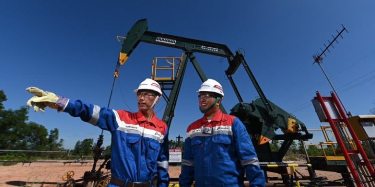 Pengamat Minta Danantara Cermat Pilih Pimpinan Merger 3 Anak Usaha Pertamina