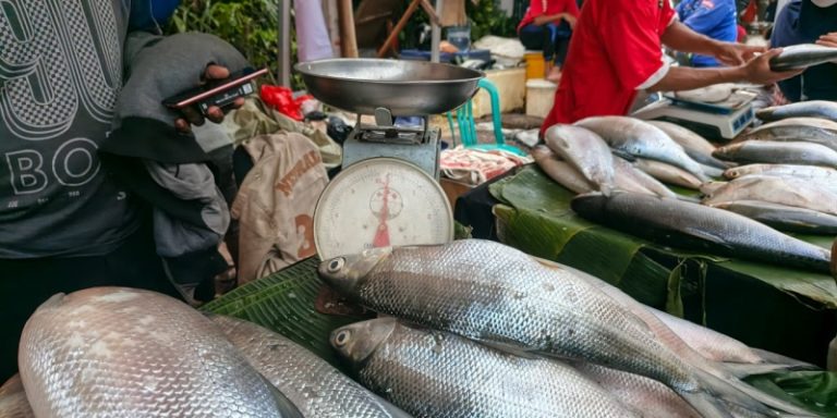 Festival Bandeng Rawa Belong Dongkrak Omzet Pedagang