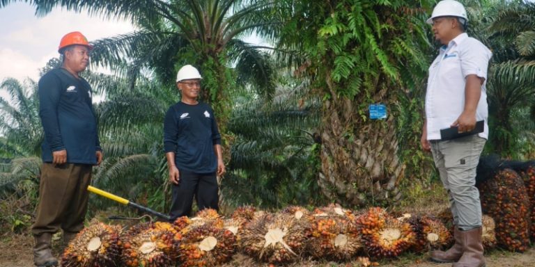 Harmoni Miniatur Indonesia jadi Kunci Produktivitas PTPN IV Palmco