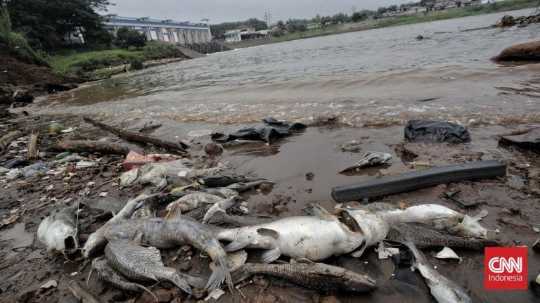 Sungai Cisadane Tercemar hingga Kasat Polres Bima Edarkan Sabu